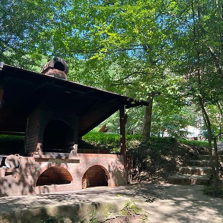 Pension Casa Vanatorilor Băile Olăneşti Εξωτερικό φωτογραφία