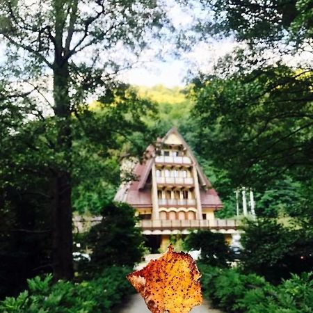 Pension Casa Vanatorilor Băile Olăneşti Εξωτερικό φωτογραφία