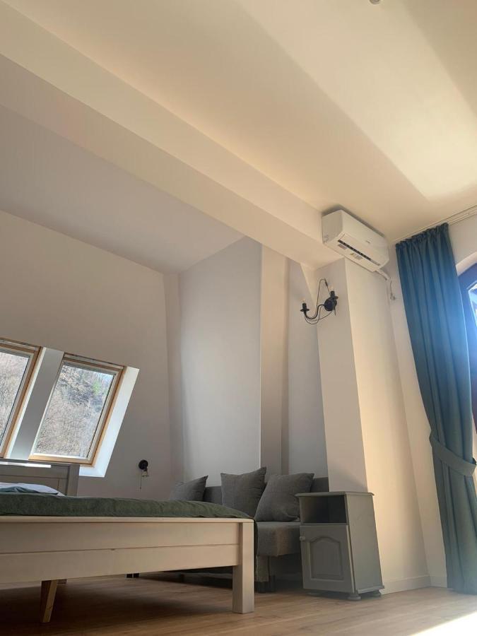 Pension Casa Vanatorilor Băile Olăneşti Εξωτερικό φωτογραφία