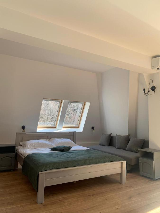 Pension Casa Vanatorilor Băile Olăneşti Εξωτερικό φωτογραφία