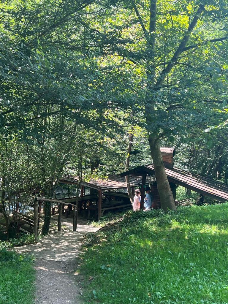 Pension Casa Vanatorilor Băile Olăneşti Εξωτερικό φωτογραφία