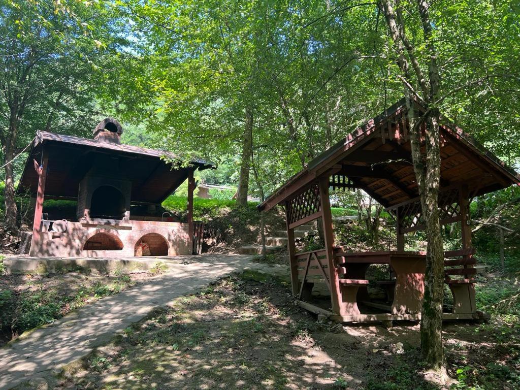 Pension Casa Vanatorilor Băile Olăneşti Εξωτερικό φωτογραφία