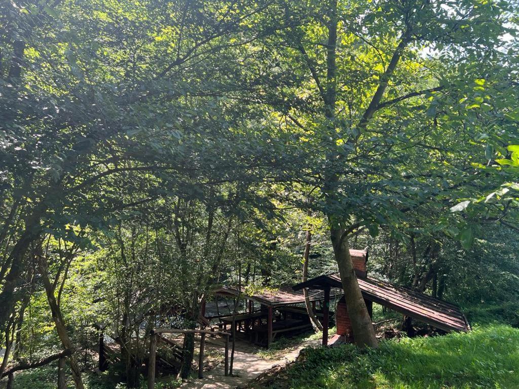 Pension Casa Vanatorilor Băile Olăneşti Εξωτερικό φωτογραφία