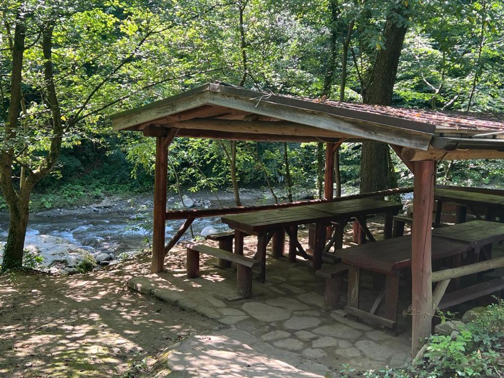 Pension Casa Vanatorilor Băile Olăneşti Εξωτερικό φωτογραφία