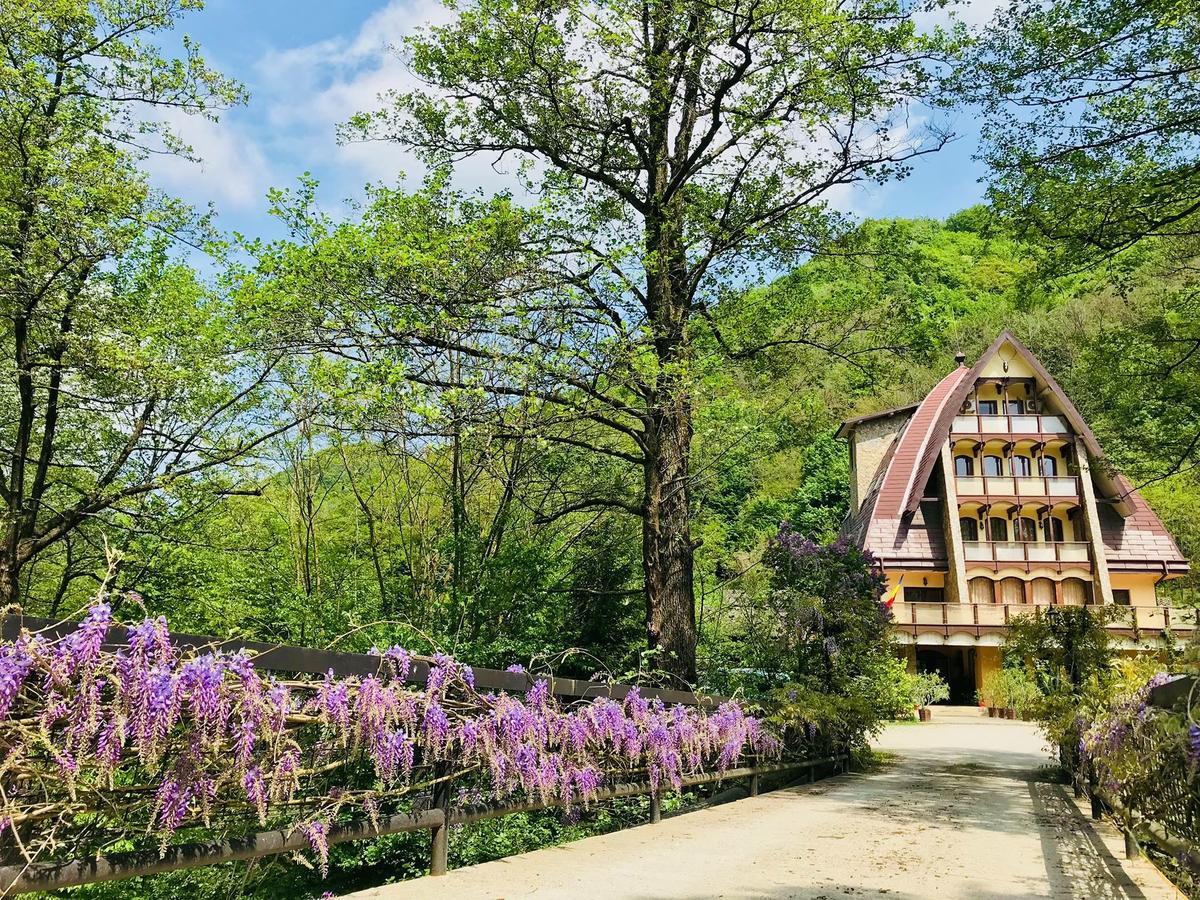 Pension Casa Vanatorilor Băile Olăneşti Εξωτερικό φωτογραφία