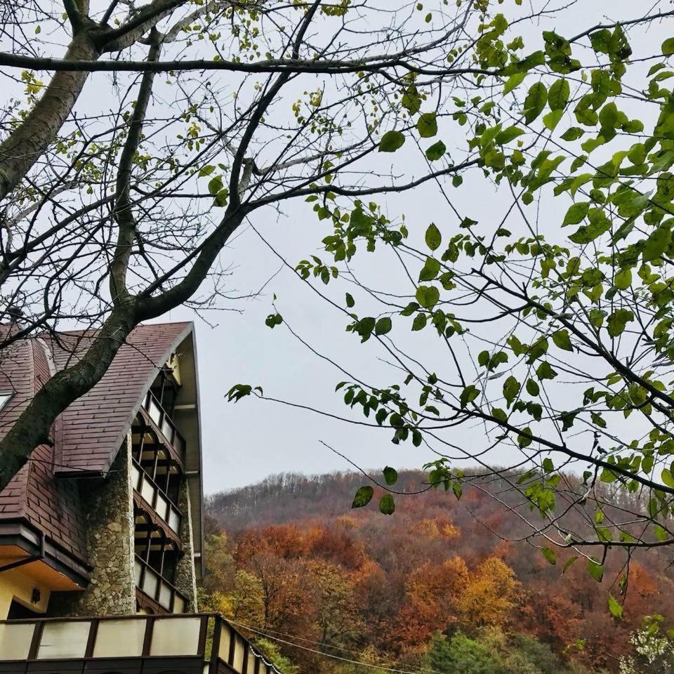 Pension Casa Vanatorilor Băile Olăneşti Εξωτερικό φωτογραφία