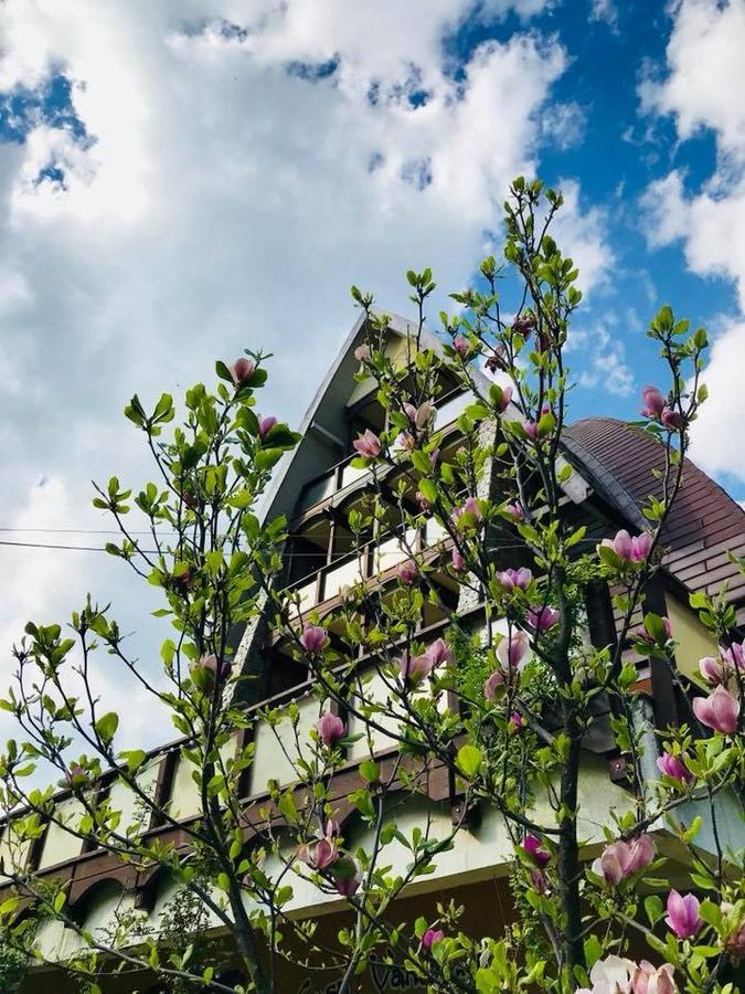 Pension Casa Vanatorilor Băile Olăneşti Εξωτερικό φωτογραφία